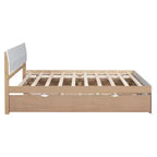 Base letto a piattaforma Twin/Full con letto estraibile Twin / 2 cassetti, Bianco/Quercia chiara
