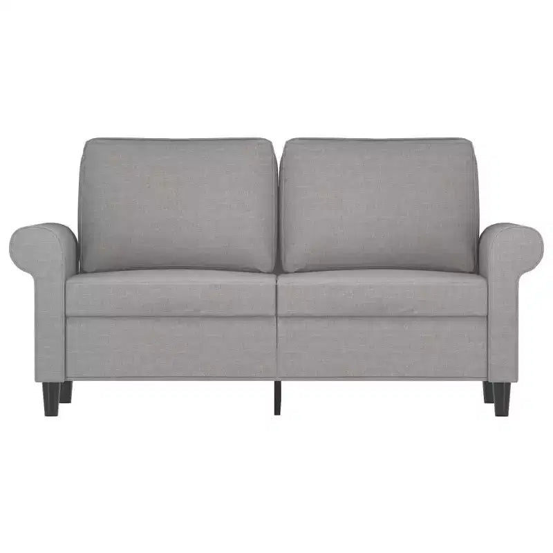 Divano a 2 Posti Grigio Chiaro - Stile Moderno con Tessuto Resistente, Robusta Struttura in Metallo e Compensato, Sedute Confortevoli e Facile Montaggio
