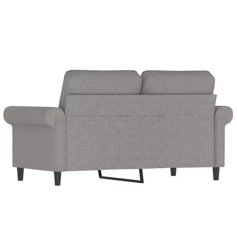 Divano a 2 Posti Grigio Chiaro - Stile Moderno con Tessuto Resistente, Robusta Struttura in Metallo e Compensato, Sedute Confortevoli e Facile Montaggio