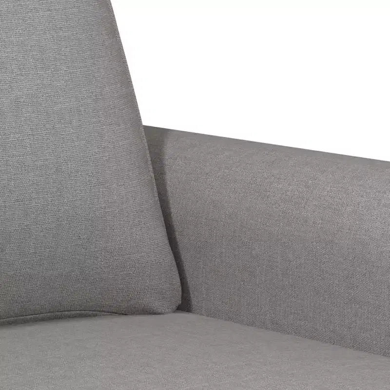 Divano a 2 Posti Grigio Chiaro - Stile Moderno con Tessuto Resistente, Robusta Struttura in Metallo e Compensato, Sedute Confortevoli e Facile Montaggio