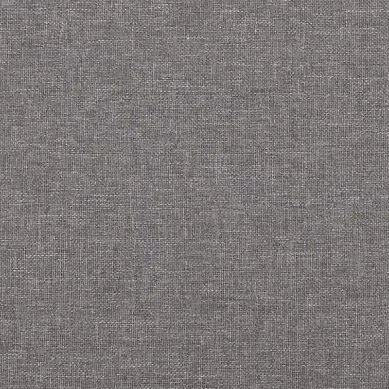 Divano a 2 Posti Grigio Chiaro - Stile Moderno con Tessuto Resistente, Robusta Struttura in Metallo e Compensato, Sedute Confortevoli e Facile Montaggio