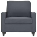 Poltrona Sofà Grigio Scuro - Seduta Rivestita in Velluto con Telaio in Metallo - Design Moderno per Comfort in Soggiorno e Ufficio